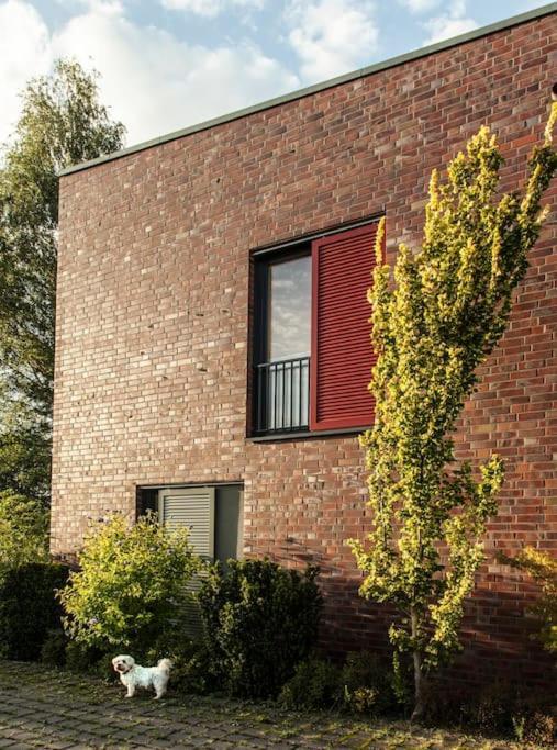 Schickes Wohnstudio Mit Garten Am Aasee Иббенбюрен Экстерьер фото